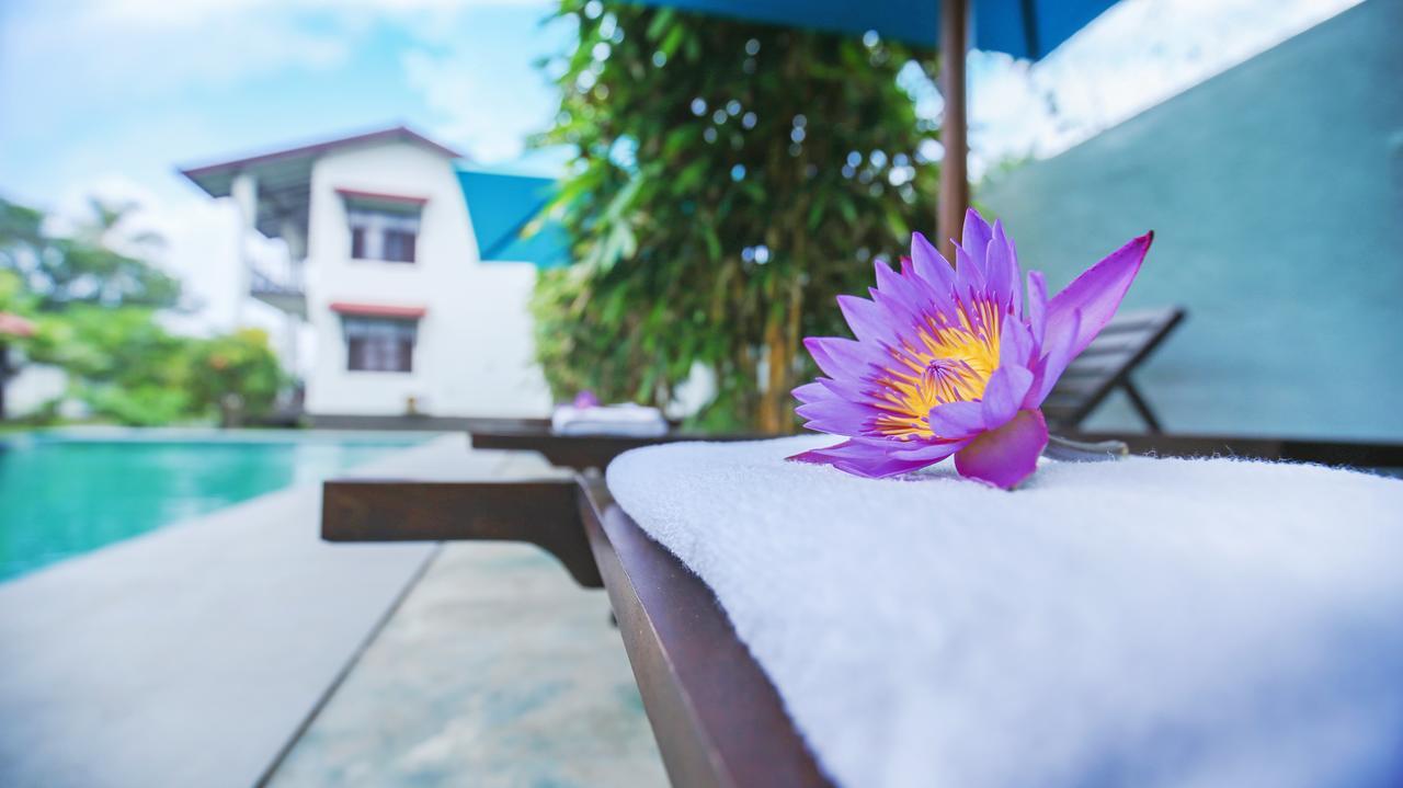 Kaminrich Cottage Matara Luaran gambar
